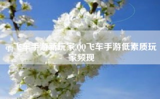 qq飞车手游新玩家,QQ飞车手游低素质玩家频现