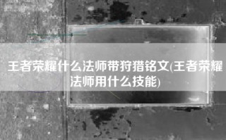 王者荣耀什么法师带狩猎铭文(王者荣耀法师用什么技能)