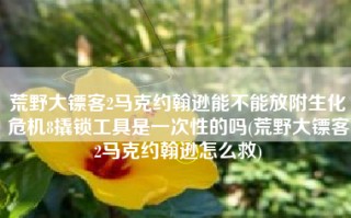 荒野大镖客2马克约翰逊能不能放附生化危机8撬锁工具是一次性的吗(荒野大镖客2马克约翰逊怎么救)