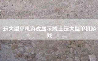 玩大型单机游戏显示器,主玩大型单机游戏