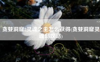 贪婪洞窟2灵魂之尘怎么获得(贪婪洞窟灵魂岛攻略)