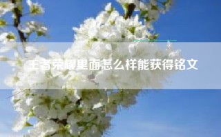 王者荣耀里面怎么样能获得铭文