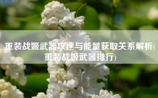 重装战姬武器攻速与能量获取关系解析(重装战姬武器排行)