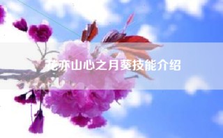 花亦山心之月葵技能介绍