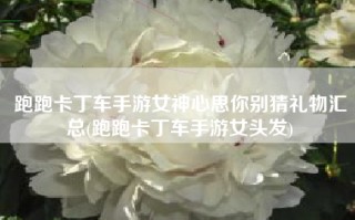 跑跑卡丁车手游女神心思你别猜礼物汇总(跑跑卡丁车手游女头发)