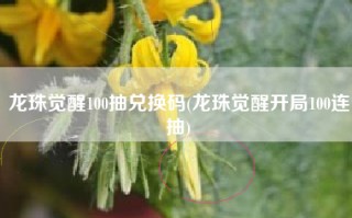 龙珠觉醒100抽兑换码(龙珠觉醒开局100连抽)