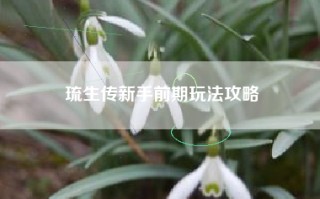 琉生传新手前期玩法攻略