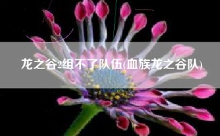 龙之谷2组不了队伍(血族龙之谷队)