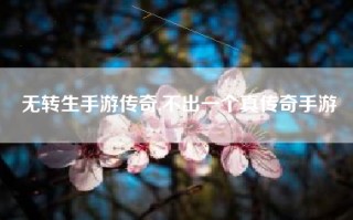 无转生手游传奇,不出一个真传奇手游