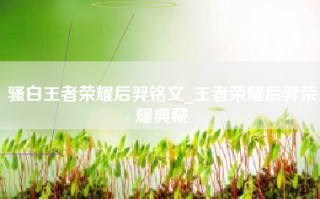 骚白王者荣耀后羿铭文_王者荣耀后羿荣耀典藏