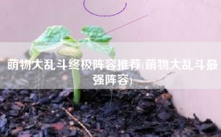 萌物大乱斗终极阵容推荐(萌物大乱斗最强阵容)