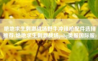 绝地求生刺激战场野牛冲锋枪配件选择推荐(绝地求生刺激战场pubg美服国际服)