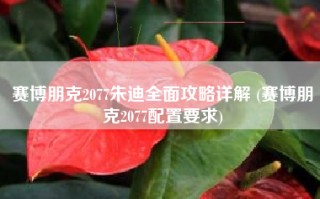 赛博朋克2077朱迪全面攻略详解 (赛博朋克2077配置要求)