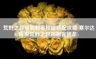 荒野之息暗影刺客技能搭配攻略(塞尔达传说荒野之息和刺客信条)
