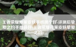 王者荣耀孙策皮肤手感哪个好-评测后挚爱之约手感最好(王者荣耀孙策皮肤挚爱之约)