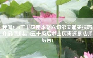 我叫MT4五十级团本老六切尔夫通关技巧介绍(我叫mt4五十级后术士厉害还是法师厉害)