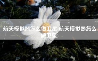 航天模拟器怎么做卫星(航天模拟器怎么做卫星)