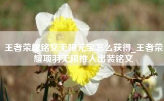 王者荣耀铭文无限元宝怎么获得_王者荣耀项羽无限推人出装铭文