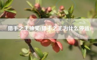 猎手之王抽奖(猎手之王为什么停运)