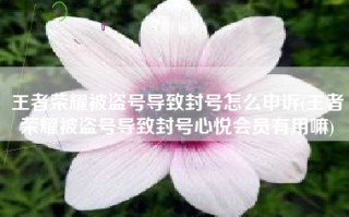 王者荣耀被盗号导致封号怎么申诉(王者荣耀被盗号导致封号心悦会员有用嘛)