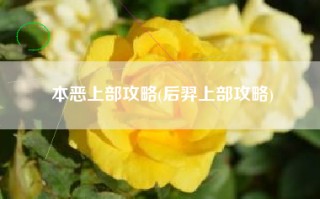 本恶上部攻略(后羿上部攻略)