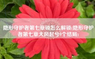 隐形守护者第七章锁怎么解锁(隐形守护者第七章大风起兮9个结局)