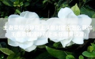 王者荣耀冷静别上头限时语音怎么获得(王者荣耀冷静别上头在哪里设置)