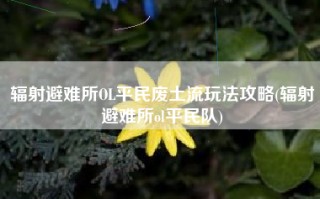 辐射避难所OL平民废土流玩法攻略(辐射避难所ol平民队)