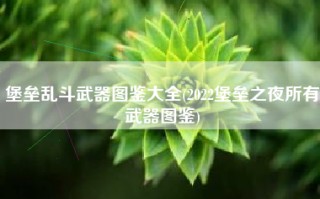 堡垒乱斗武器图鉴大全(2022堡垒之夜所有武器图鉴)