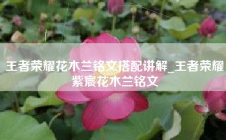 王者荣耀花木兰铭文搭配讲解_王者荣耀紫宸花木兰铭文