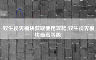 双生视界模块获取使用攻略(双生视界模块最高等级)