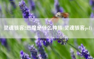 灵魂骇客2恶魔是什么种族(灵魂骇客ps1)