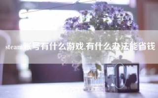 steam账号有什么游戏,有什么办法能省钱