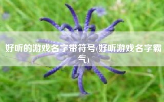 好听的游戏名字带符号(好听游戏名字霸气)