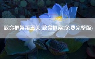 致命框架第五关(致命框架1免费完整版)
