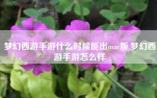 梦幻西游手游什么时候能出mac版,梦幻西游手游怎么样