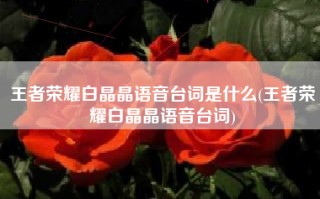 王者荣耀白晶晶语音台词是什么(王者荣耀白晶晶语音台词)