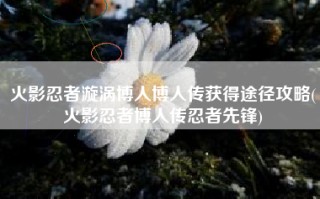 火影忍者漩涡博人博人传获得途径攻略(火影忍者博人传忍者先锋)