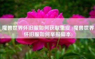 魔兽世界怀旧服如何获取虫皮 (魔兽世界怀旧服如何举报脚本)