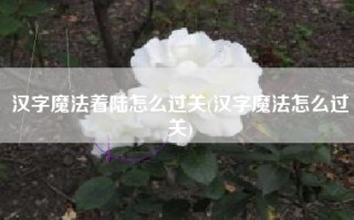 汉字魔法着陆怎么过关(汉字魔法怎么过关)