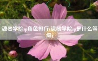 魂器学院sp角色排行(魂器学院sp是什么等级)