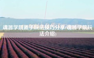 魂器学院新手玩法技巧分享(魂器学院玩法介绍)