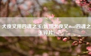 犬夜叉用四魂之玉(饥荒犬夜叉mod四魂之玉碎片)