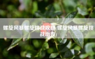 螺旋风暴螺旋挑战攻略(螺旋风暴螺旋挑战幽夜)