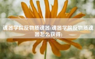 魂器学院反物质魂器(魂器学院反物质魂器怎么获得)