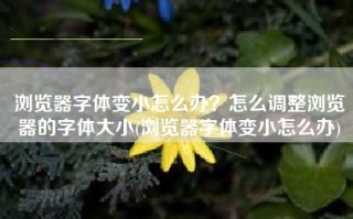 浏览器字体变小怎么办？怎么调整浏览器的字体大小(浏览器字体变小怎么办)