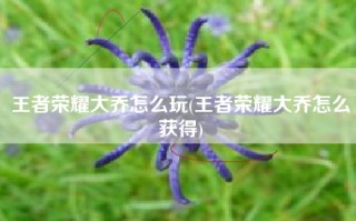 王者荣耀大乔怎么玩(王者荣耀大乔怎么获得)