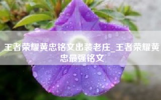 王者荣耀黄忠铭文出装老庄_王者荣耀黄忠最强铭文