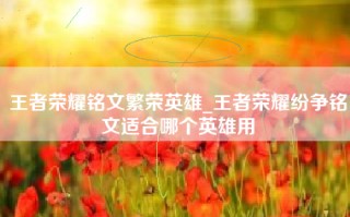 王者荣耀铭文繁荣英雄_王者荣耀纷争铭文适合哪个英雄用