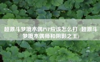 超激斗梦境木偶PVP应该怎么打 (超激斗梦境木偶师和阴影之王)